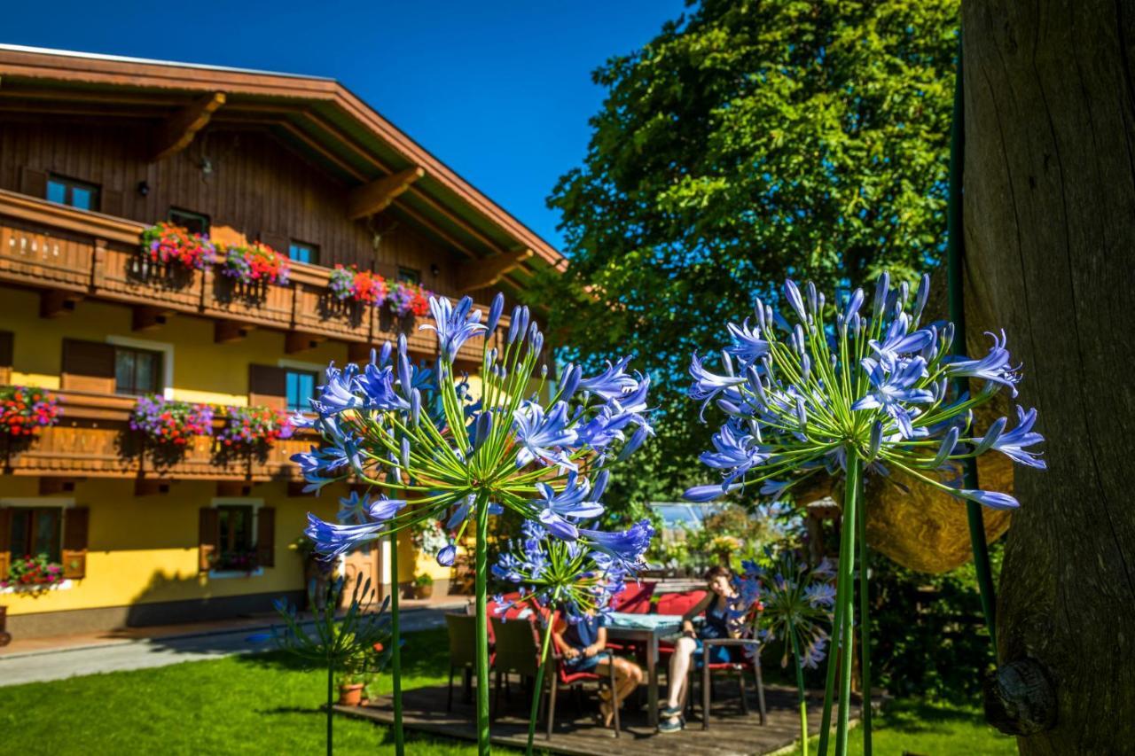 Starbauer Apartment Golling an der Salzach Exterior photo